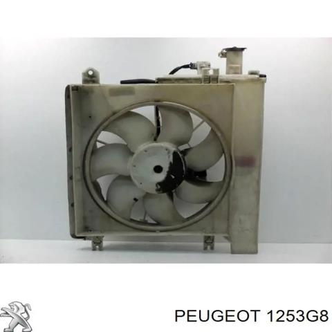 Вентилятор радіатора 1253G8