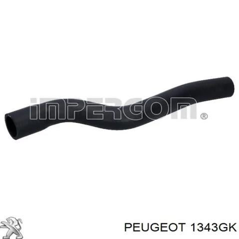 Шланги системи охолодження 1343GK PEUGEOT