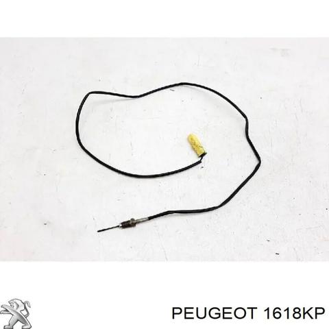 Офіційний peugeot 1618kp датчик температури 1618KP