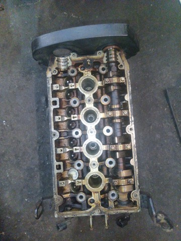 5607239 Opel