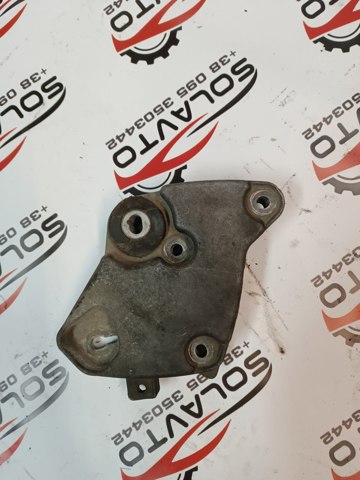 6025317117 Renault (RVI)