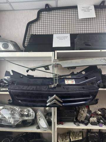Захисна решітка радіатора 7804J4 PEUGEOT