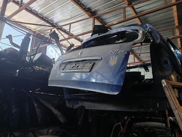 Двері багажника 8701Q4 PEUGEOT