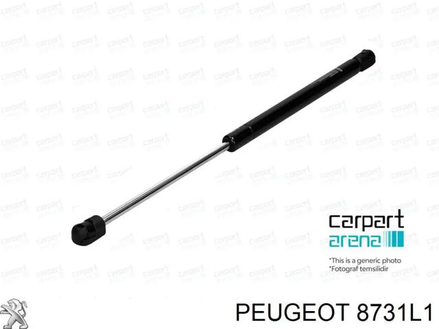 8731L1 Peugeot/Citroen