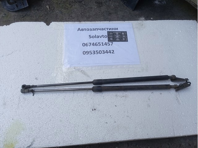 Амортизатор двері задньої 90451EQ300 NISSAN