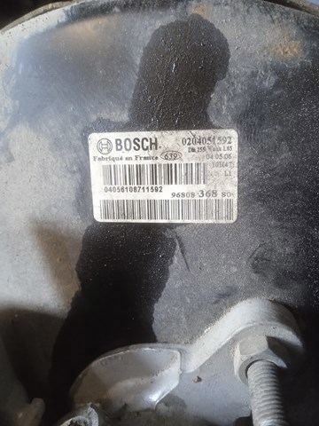 9680836880 Peugeot/Citroen