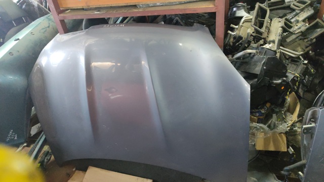 Капот F5100BR0MA NISSAN