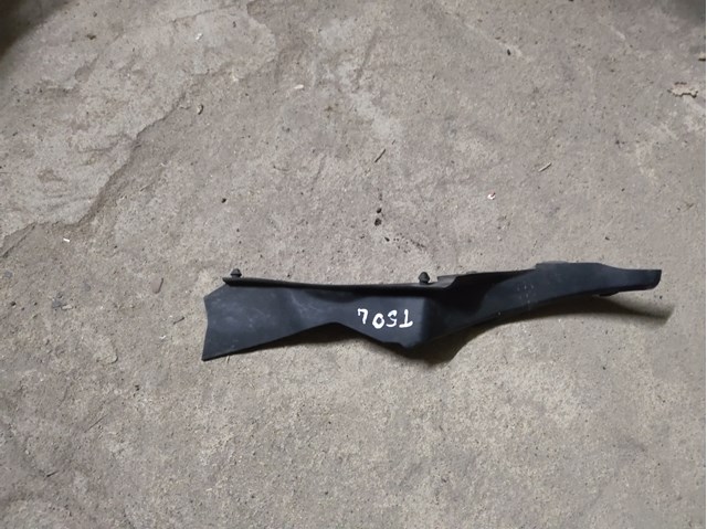 Водостік лобового скла, жабо 5386733080 TOYOTA