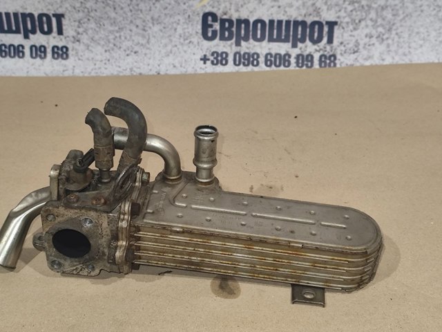 Радіатор системи рециркуляції ОГ 03G131513 VAG