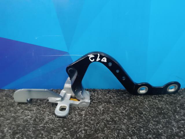 Петля задніх багажних, 3/5 -х дверей 41007494943 BMW