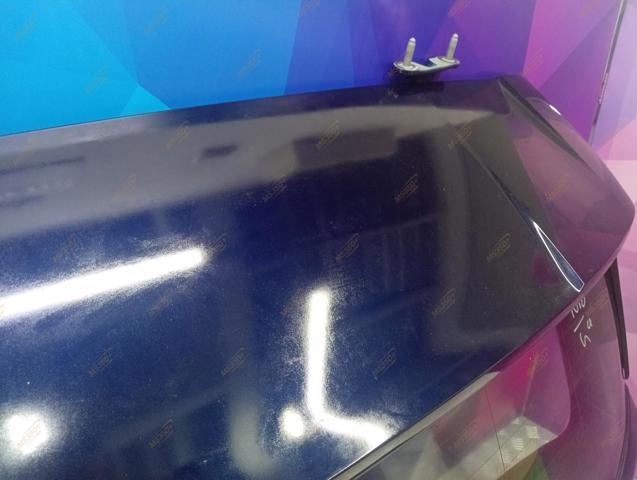 Задні двері багажника 41007931925 BMW