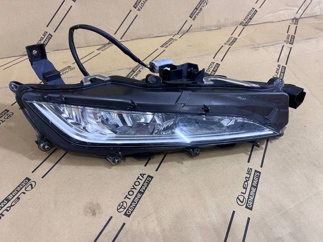 Протитуманка права 8121048060 TOYOTA