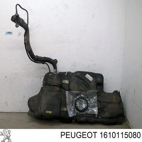 1610115080 Peugeot/Citroen