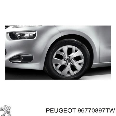 96770897TW Peugeot/Citroen
