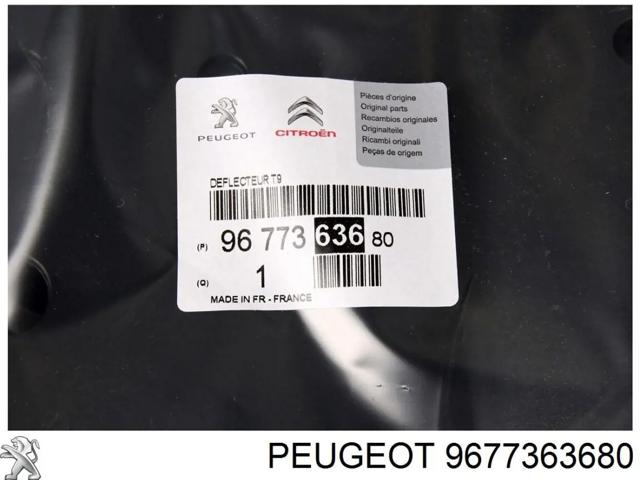 Кенгурятник 9677363680 PEUGEOT