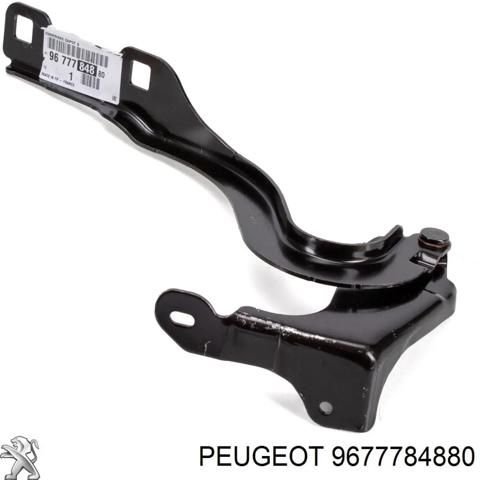 Завіс капота, лівий 9677784880 PEUGEOT