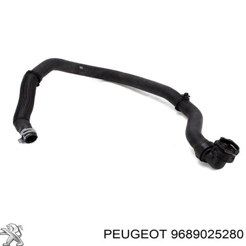 Шланг/патрубок радіатора охолодження, нижній 9689025280 PEUGEOT