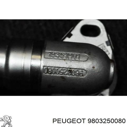 Патрубок системи рециркуляції ВГ 9803250080 PEUGEOT