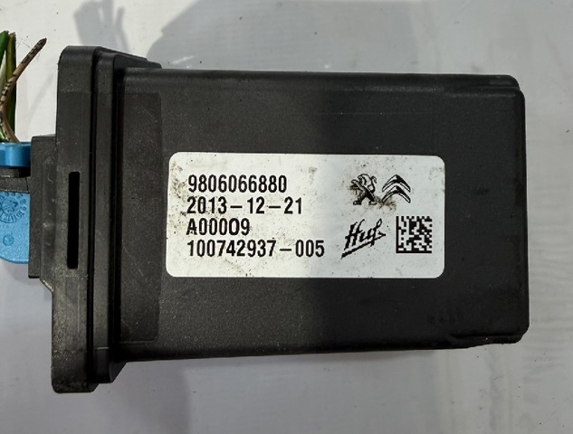 9806066880 Peugeot/Citroen