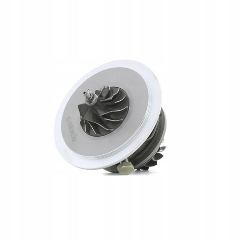 Картридж турбіни 4973C0140 RIDEX