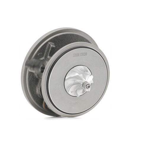Картридж турбіни 4973C0255 RIDEX