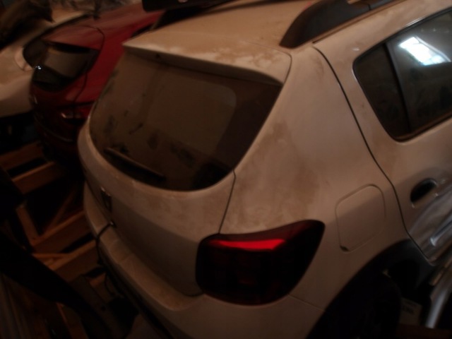 Задні двері багажника Renault SANDERO II STEPWAY