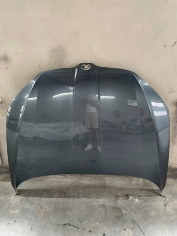Капот 3V0823031 VAG