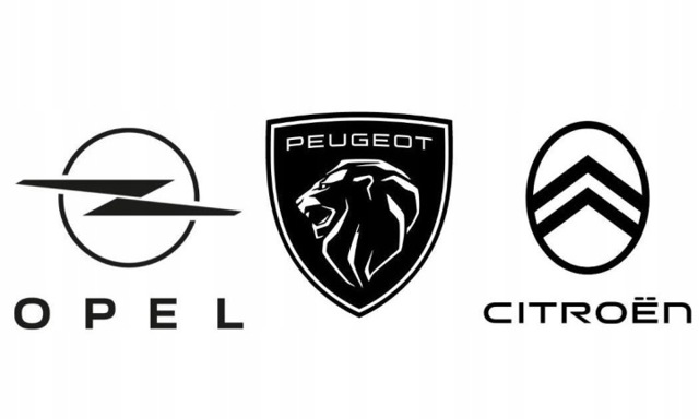 Ремкомплект суппорта гальмівного, переднього 443939 PEUGEOT