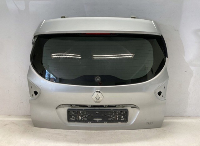 Треті двері 901002357R RENAULT