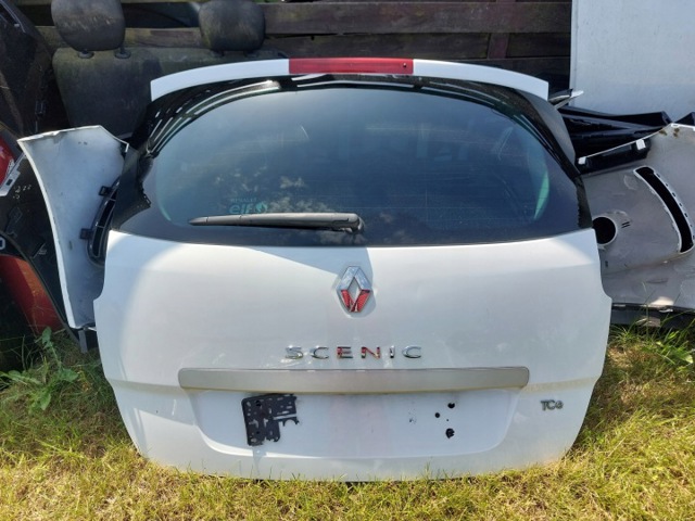 Задні двері багажника 901006104R RENAULT