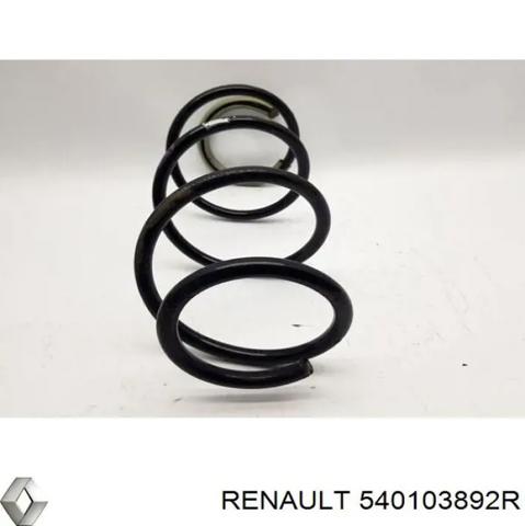 Пружина передня 540103892R RENAULT