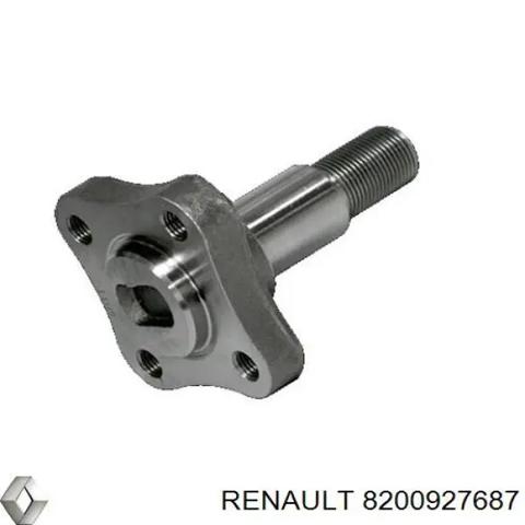 Цапфа - поворотний кулак задній 8200927687 RENAULT