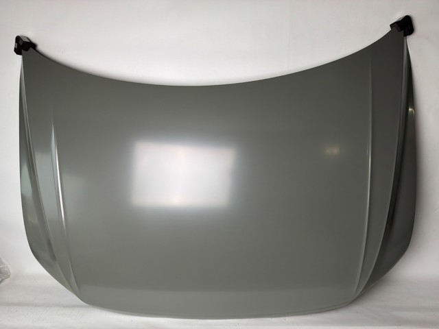 Капот 5NG823031G VAG