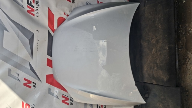 Капот 1038384S0C Tesla Model