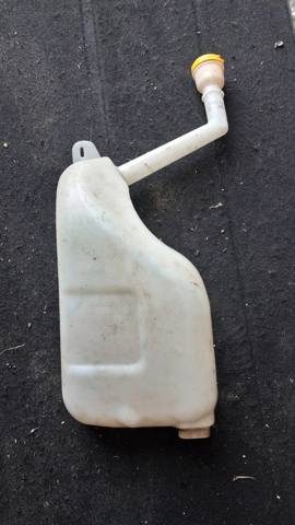 Водяний бачок омивача скла 289100014R RENAULT