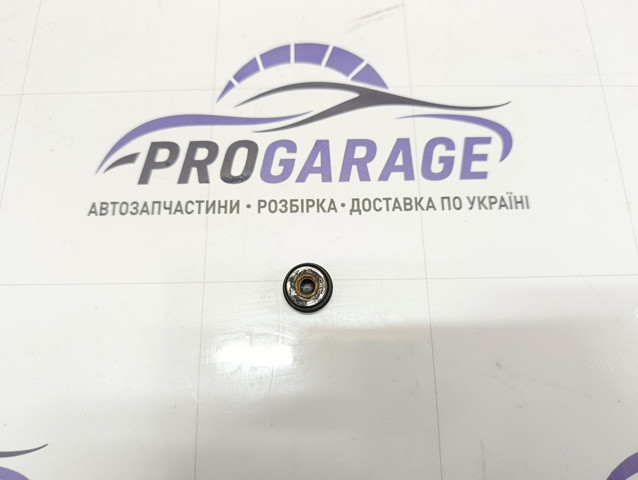 Заглушка гайки кріплення повідка переднього двірника 1J0955205A VAG
