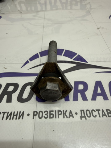 Болт кріплення заднього нижнього важеля, зовнішній 33306793891 BMW