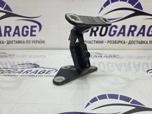 Петля заднього борту 41627170918 BMW