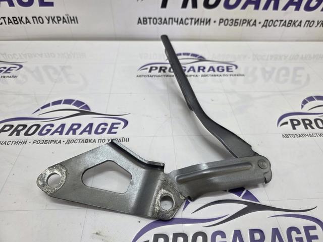 Завіса капота ліва 5NN823301 VAG