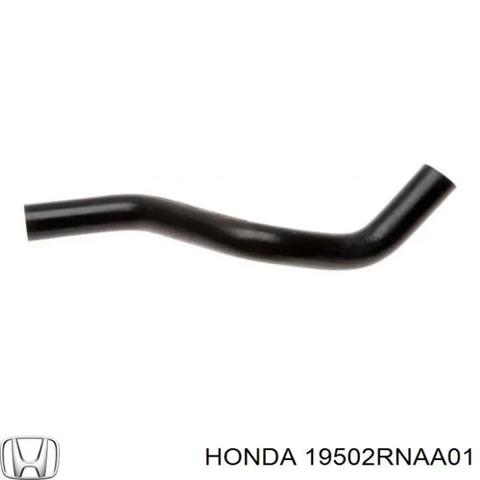 Шланг/патрубок радіатора охолодження, нижній 19502RNAA01 HONDA