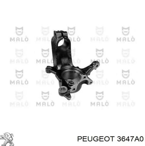Цапфа - поворотний кулак передній, правий 3647A0 PEUGEOT