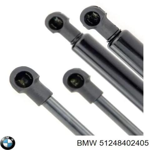 Амортизатор двері 3/5-ї задньої 51248402405 BMW