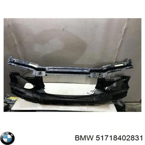 Буфер бампера переднього 51718402831 BMW