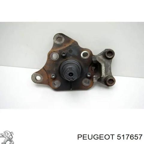 Цапфа ліва 517657 PEUGEOT