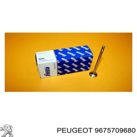 Вихлопний клапан 9675709680 PEUGEOT