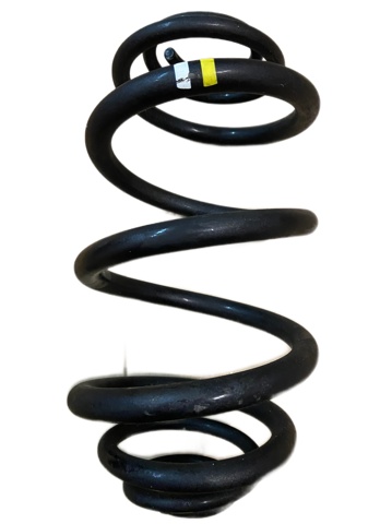 Пружина задня 550202870R RENAULT