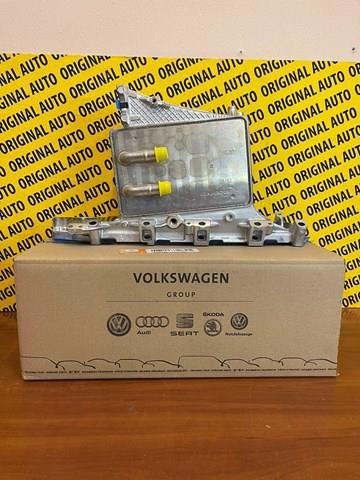 Колектор впускний 04L129711AB VAG