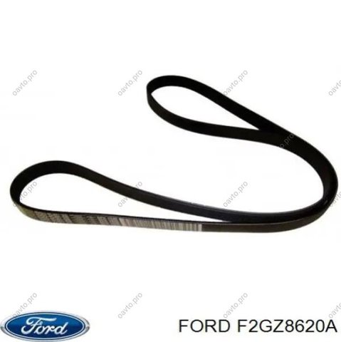 Ремінь генератора F2GZ8620A FORD