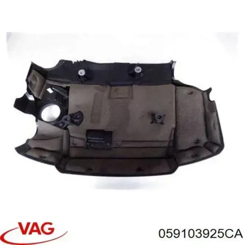 Кришка двигуна декоративна 059103925CA VAG