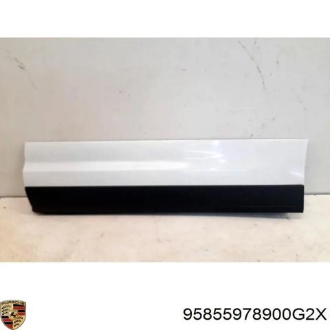 Молдинг задніх лівих дверей, нижній 95855978900G2X PORSCHE
